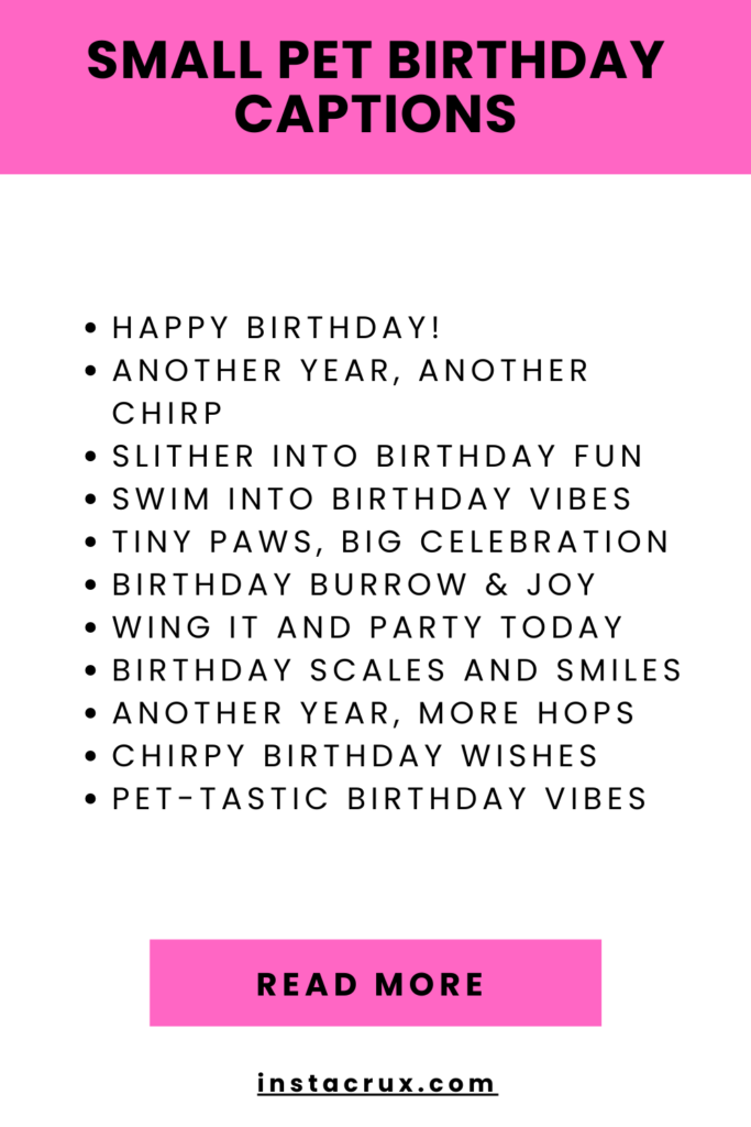 Small Pet Birthday Captions