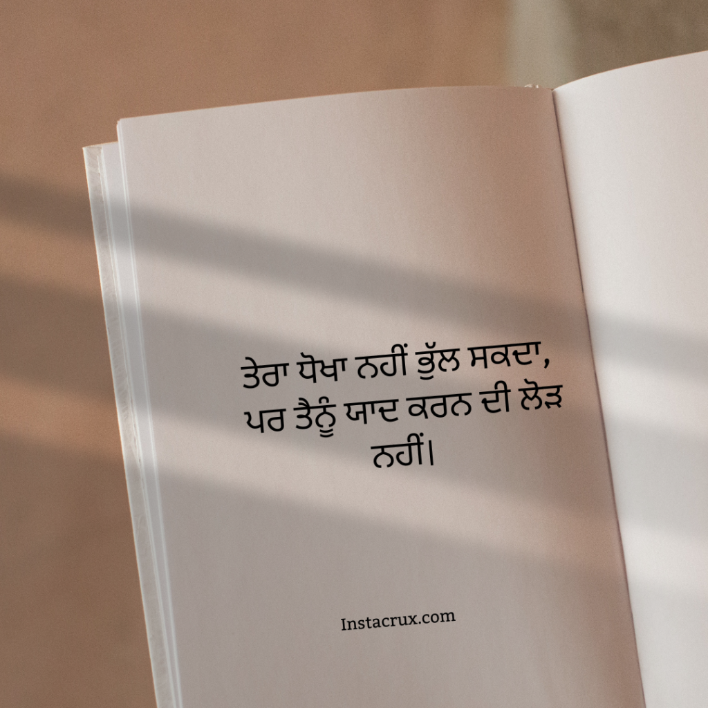 Punjabi dhoka Shayari