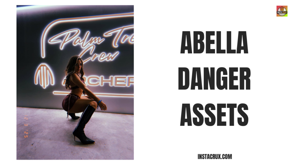 Abella Danger Assets