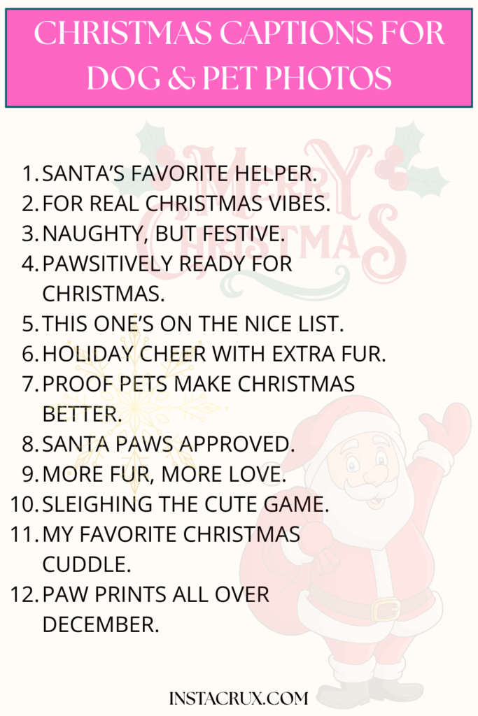Christmas Captions for Dog & Pet Photos