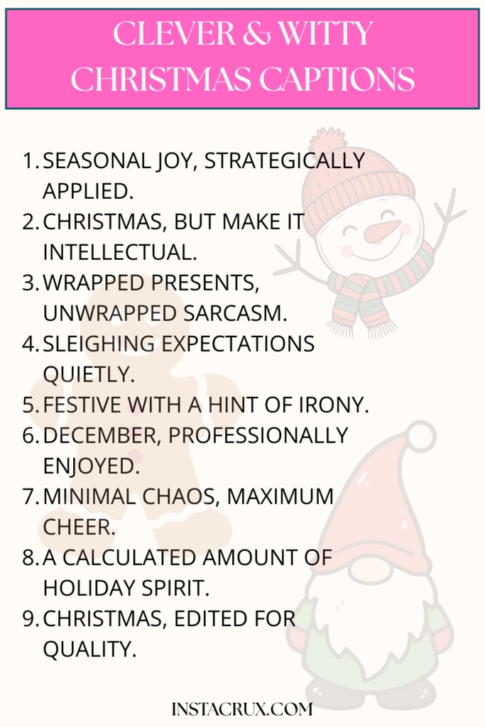 Clever & Witty Christmas Captions